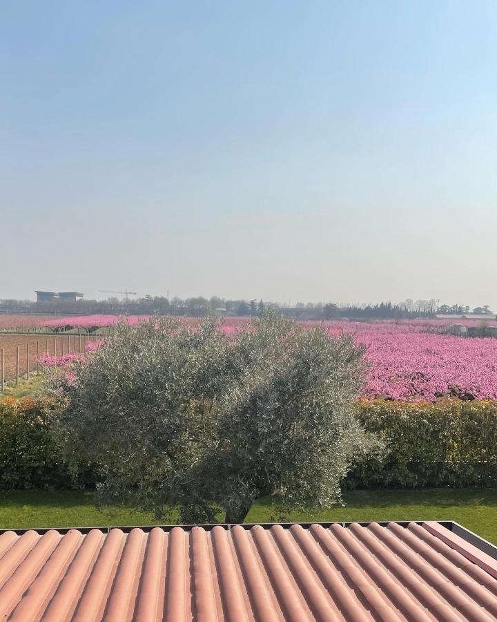 Corte Caselle Frühstückspension Sommacampagna